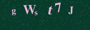 Validation image